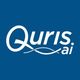 Logo for Quris Ai